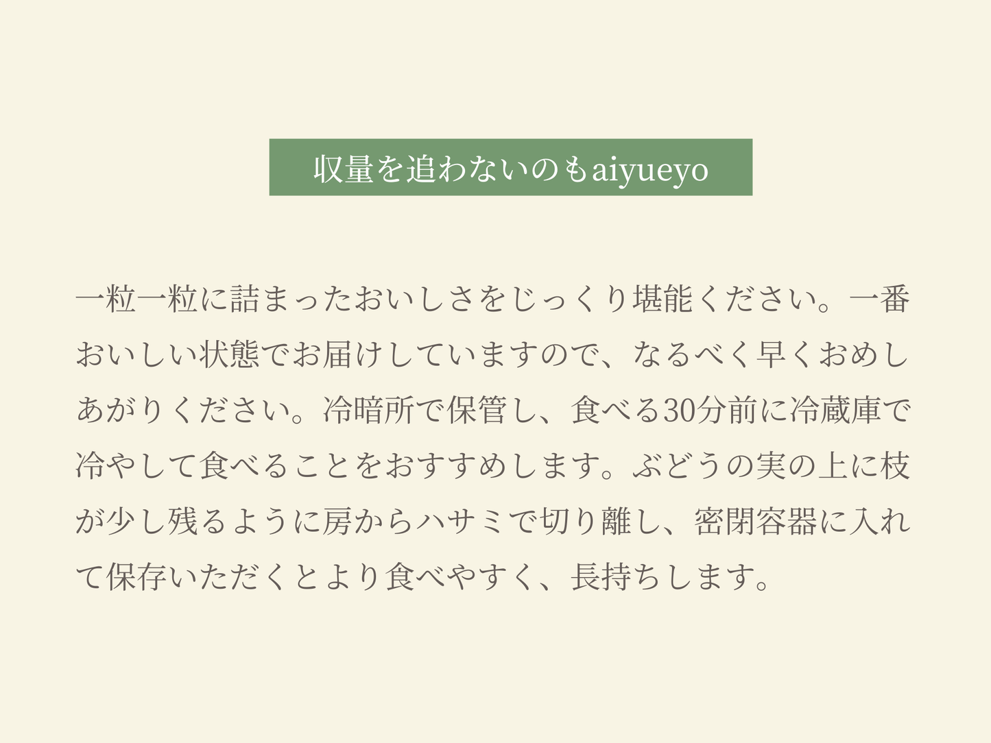 完熟ぶどう詰め合わせ(まんぷくサイズ)2025年8月以降のお届け