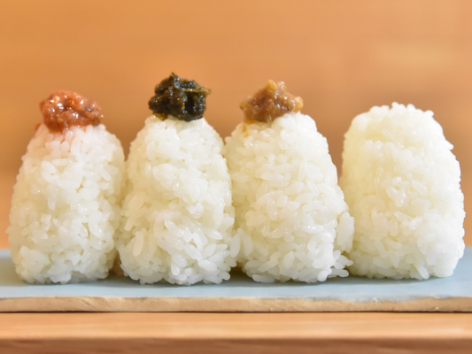 HOLISTIC RICE(たべきりサイズ)2025年10月以降のお届け