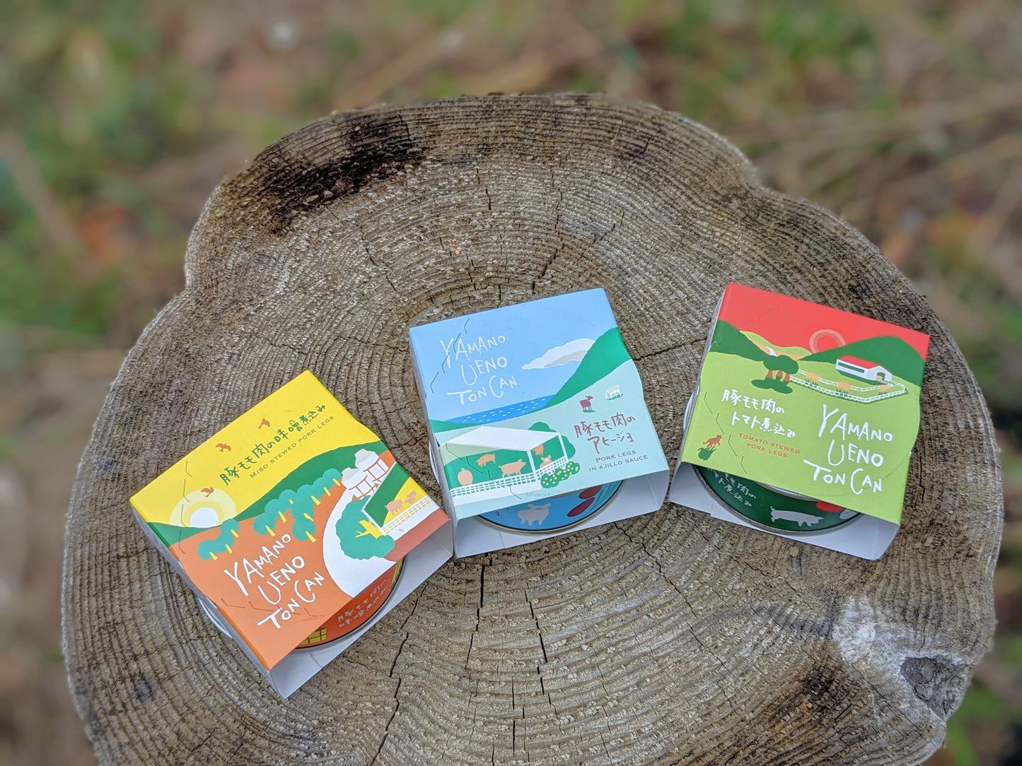 豚モモ肉の缶詰セット（たべきりサイズ）